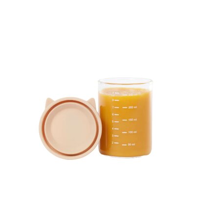 Set 6 recipiente din sticla cu capac Isy, 6 x 250 ml, Babymoov 539056