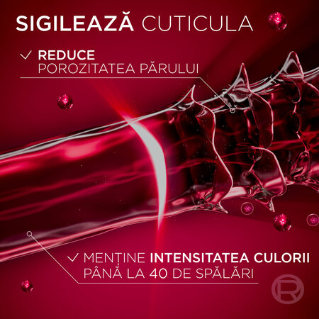Sampon pentru par vopsit Color Vive, 400 ml, Elseve 681618