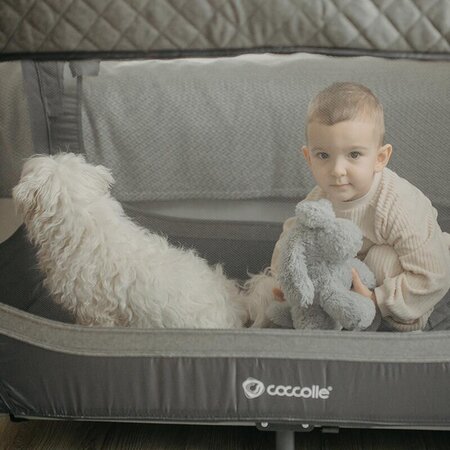 Patut co-sleeper Insieme, Greystone, Coccolle 539247