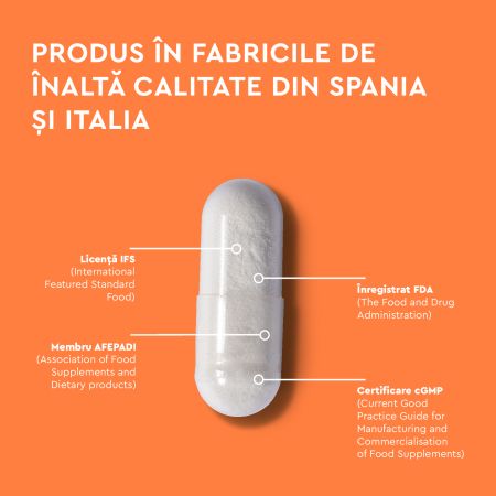 Synergize Your Gut, 30 capsule, Good Routine 776929