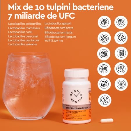 Synergize Your Gut, 30 capsule, Good Routine 776927