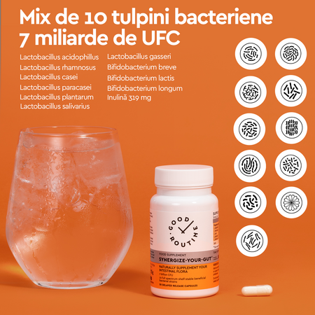 Synergize Your Gut, 30 capsule, Good Routine 776927