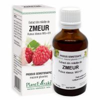 Extract din mladite de Zmeur, 50 ml, PlantExtrakt