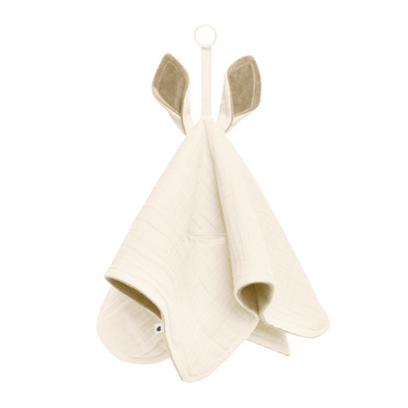 Paturica cu urechiuse, Kangaroo Ivory