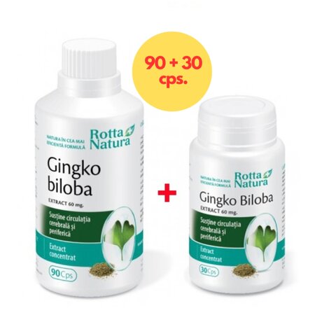 Pachet Ginkgo Biloba, 60 mg, 90 + 30 capsule