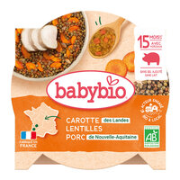 Piure Bio Meniu din linte si carne de porc, +15luni, 260g, BabyBio