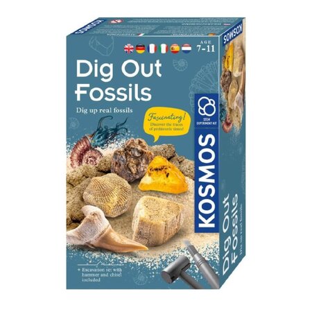 Set educativ Stem Fosile Antice
