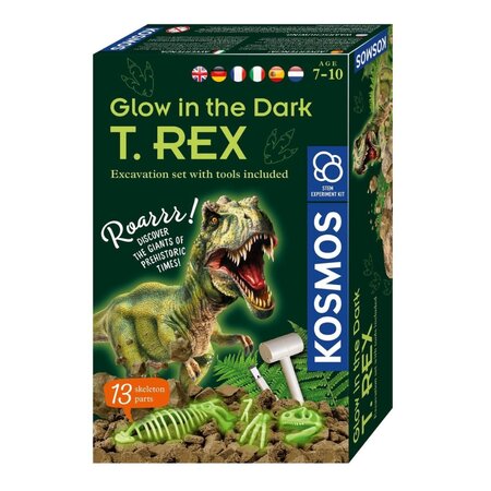 Set educativ Stem T-Rex fosforescent
