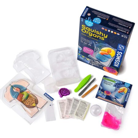Set educativ Stem Organe Squichy, +8 ani, Kosmos 542415