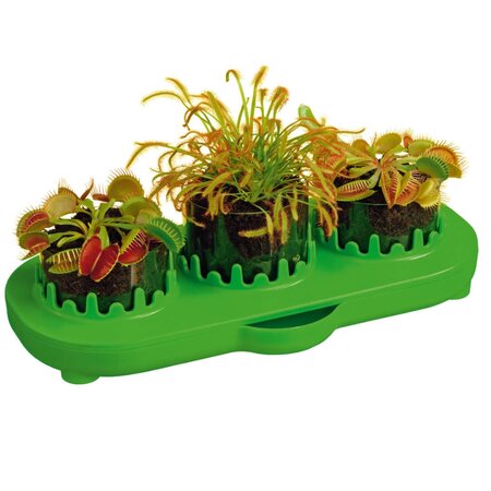 Set educativ Stem Plante carnivore, +8 ani, Kosmos 542457