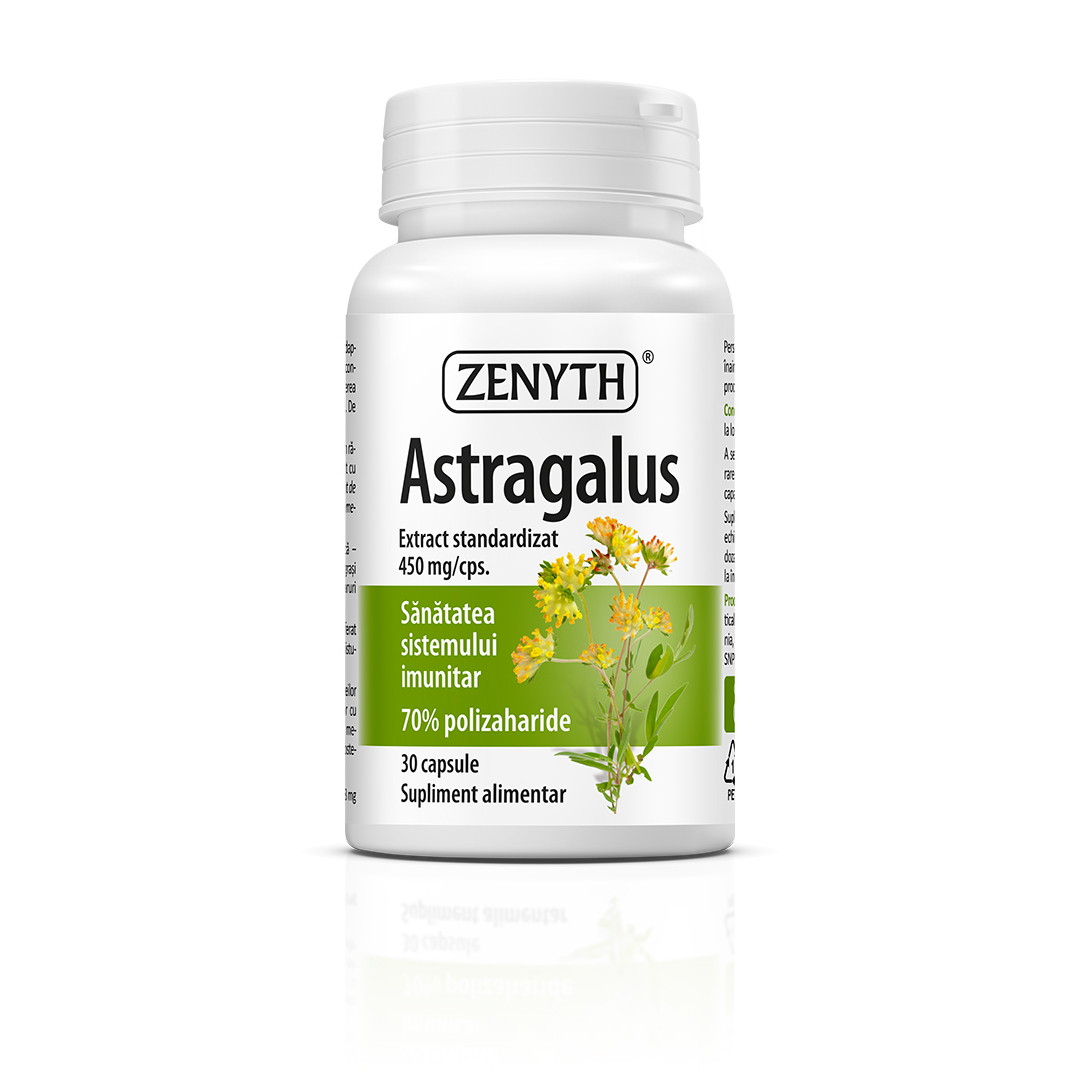 Astragalus, 30 capsule, Zenyth