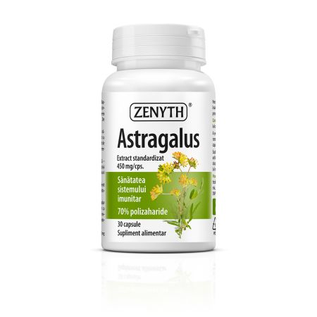 Astragalus, 30 capsule, Zenyth