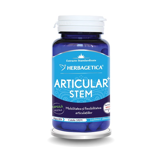 Articular Stem, 60 capsule, Herbagetica