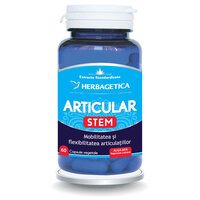 Articular Stem, 60 capsule, Herbagetica