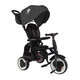 Tricicleta pliabila pentru copii Rito Plus, Negru, 12-36 luni, Qplay 543359