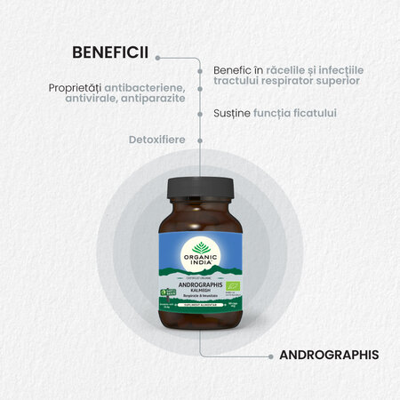Andrographis Bio, 60 capsule, Organic India 553280