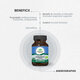 Andrographis Bio, 60 capsule, Organic India 553280
