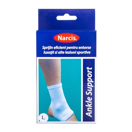 Glezniera elastica, Marimea L