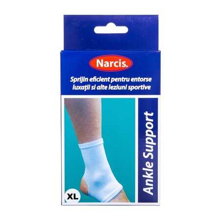 Glezniera elastica, Marimea XL