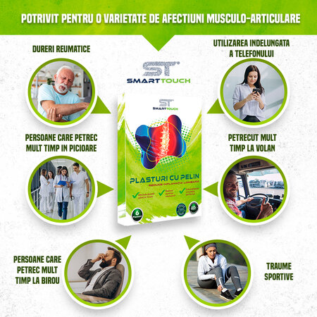 Plasturi cu pelin pentru dureri cervicale, 6 bucati, Smart Touch 544879