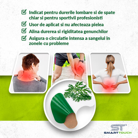 Plasturi cu pelin pentru dureri cervicale, 6 bucati, Smart Touch 544875