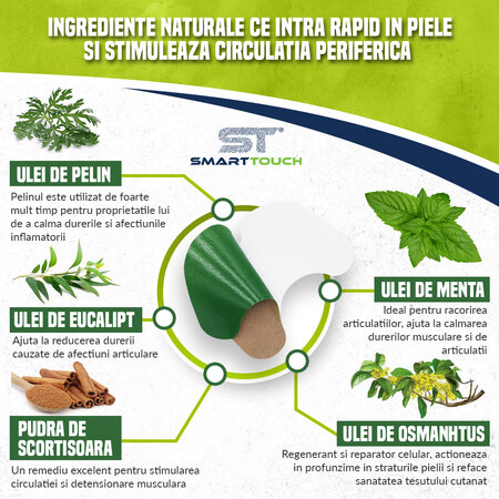 Plasturi cu pelin pentru dureri cervicale, 6 bucati, Smart Touch 544876