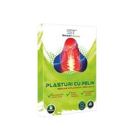 Plasturi cu pelin pentru dureri cervicale, 6 bucati, Smart Touch