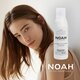 Spray de par cu protectie termica Provitamina B5, 125 ml, Noah 544949
