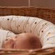 Babynest din bumbac organic Chestnuts, Filibabba 545214
