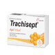 Trachisept ApiVital, 16 comprimate pentru supt, Labormed 644690
