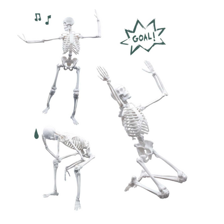 Schelet Uman gigant 45 cm, Buki 546603