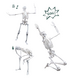 Schelet Uman gigant 45 cm, Buki 546603