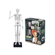 Schelet Uman gigant 45 cm, Buki 546605