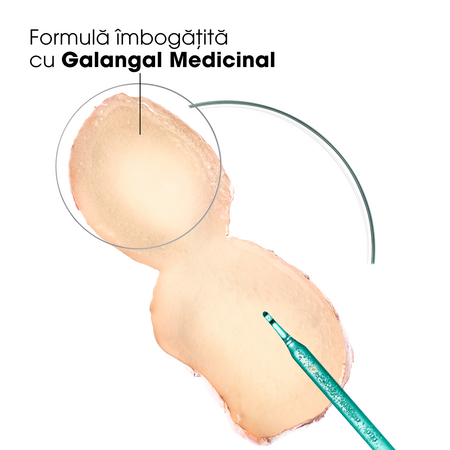Sampon antimatreata cu galangal, 400 ml, Klorane 781855