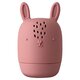 Jucarie din silicon pentru baie, +6 luni, Diverse Animalute, Baby Nova 548574