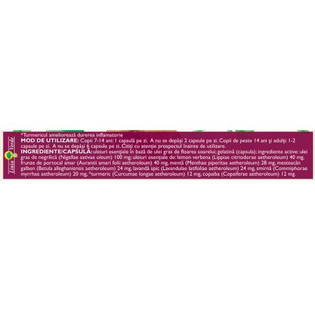 Fitodolor acut, L97, 20 capsule, Fares 722961