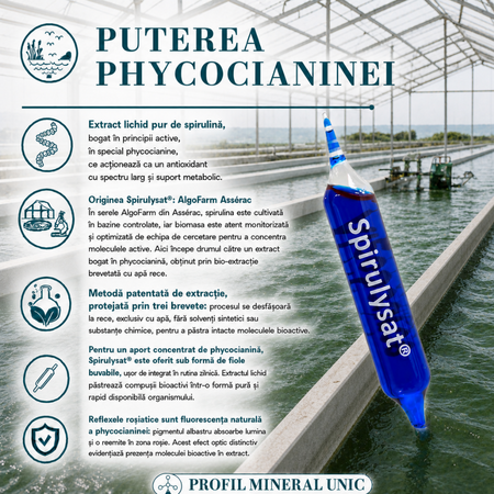 Spirulysat original, 20 fiole, Algosource 812253