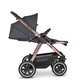 Carucior 2 in 1 Samba, Diamond, ABC Design 550310