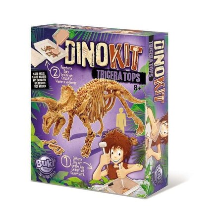 Kit Dino Paleontologie