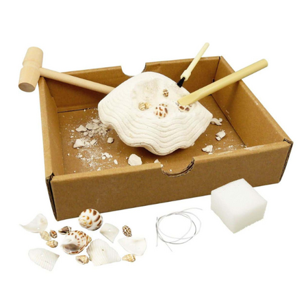 Kit de sapat Scoici, +8 ani, Buki 550343