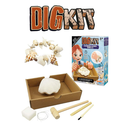 Kit de sapat Scoici, +8 ani, Buki 550342