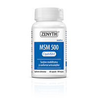 MSM 500, 60 capsule, Zenyth