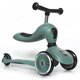 Trotineta 2 in 1 transformabila pentru copii Highwaykick 1, Forest, 1-5 ani, Scoot and Ride 552752