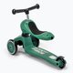 Trotineta 2 in 1 transformabila pentru copii Highwaykick 1, Forest, 1-5 ani, Scoot and Ride 552747