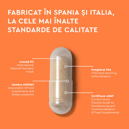 Synergize Your Gut Good Routine, 10 capsule vegetale, Secom 776972