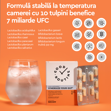 Synergize Your Gut Good Routine, 10 capsule vegetale, Secom 776970