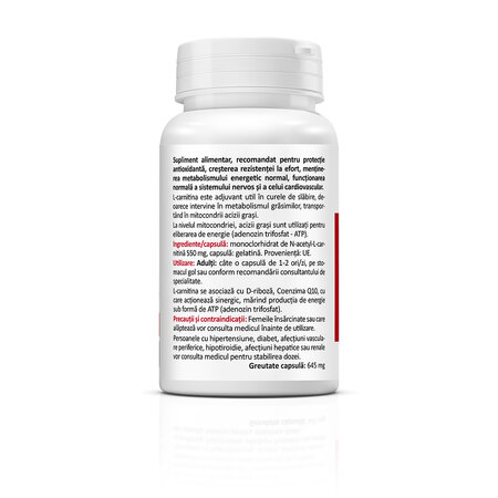N-Acetyl L-Carnitine, 550 mg, 60 capsule, Zenyth 772275