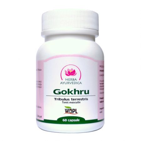 Gokhru tonic masculin