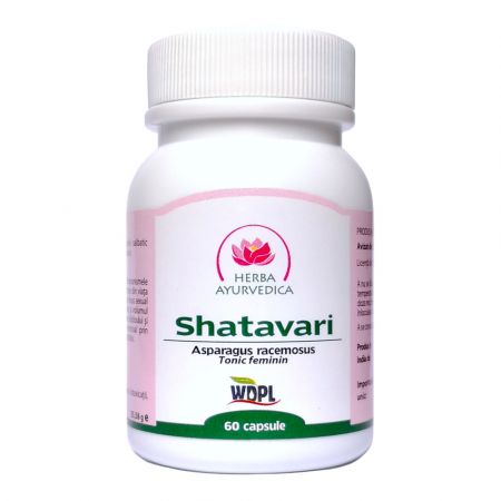 Shatavari tonic feminin