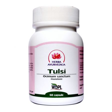 Tulsi